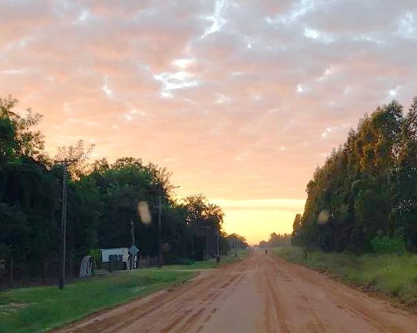 Camino de tierra entre árboles al atardecer.